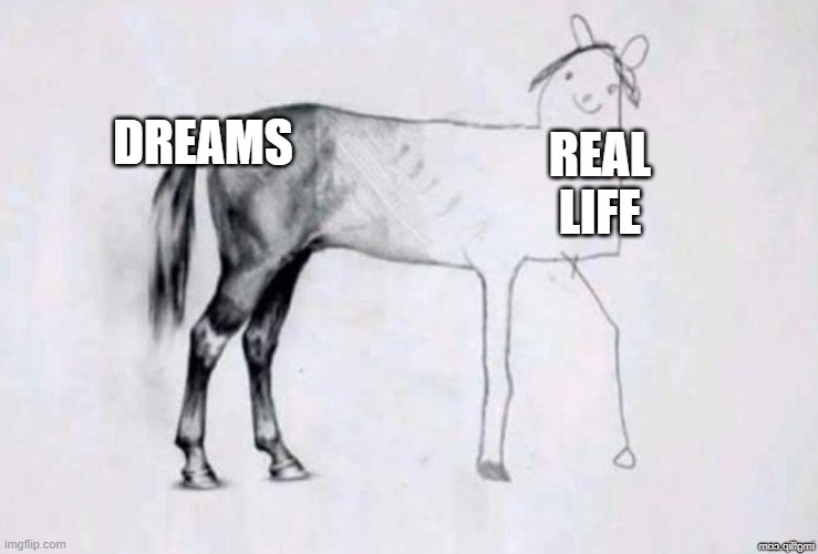 Dreams versus reality